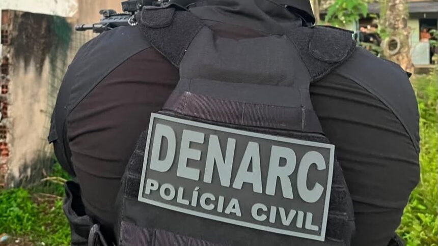 Denarc ES